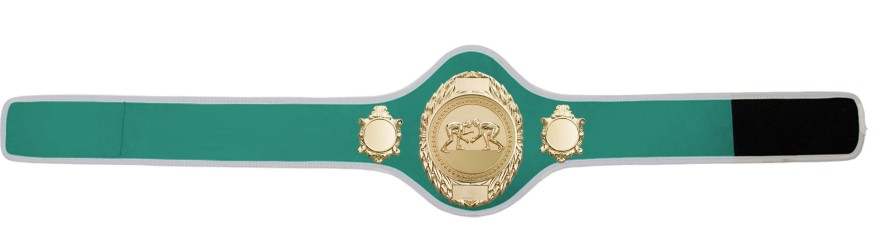 GRAPPLING CHAMPIONSHIP BELT-PRO286/G/GRAPPG-10+ COLOURS